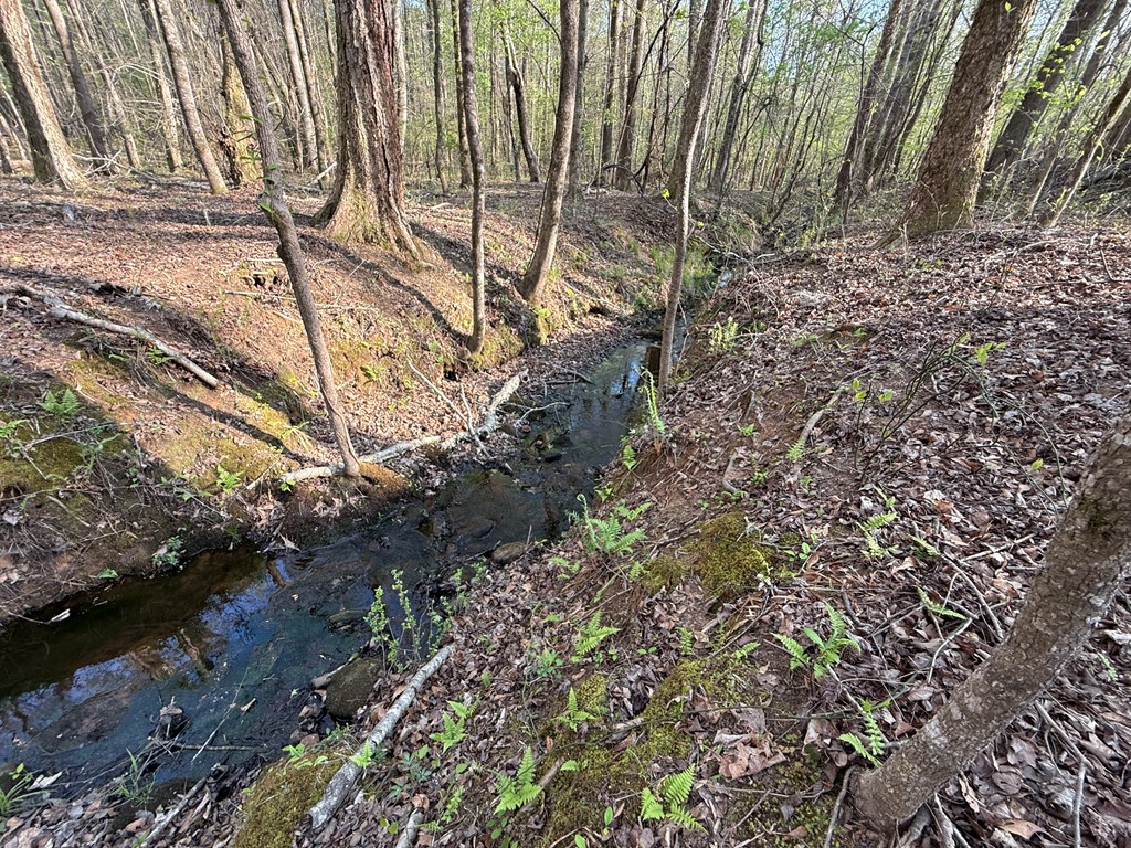 0 Oak Mountain Road Waverly Hall, GA 31831 - Photo 48 of 50 a backyard of a house with lots of green space