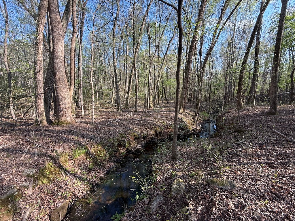 0 Oak Mountain Road Waverly Hall, GA 31831 - Photo 50 of 50 a view of backyard with green space