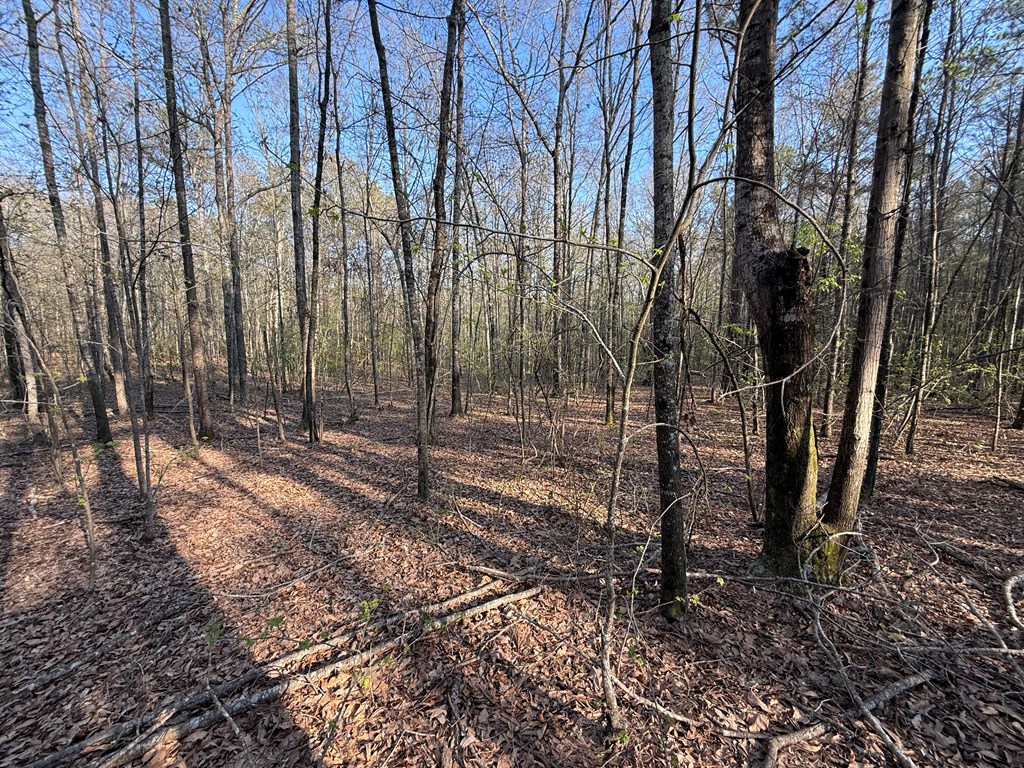 0 Oak Mountain Road Waverly Hall, GA 31831 - Photo 5 of 50 a view of a yard with trees
