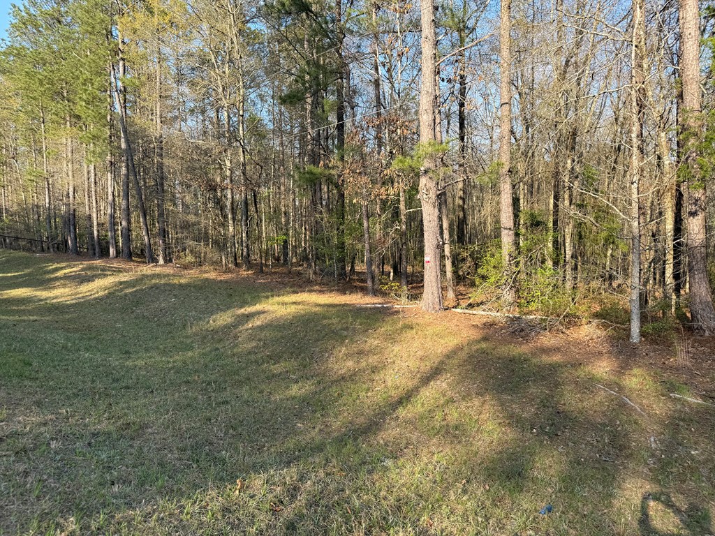 0 Oak Mountain Road Waverly Hall, GA 31831 - Photo 7 of 50 a view of outdoor space with trees