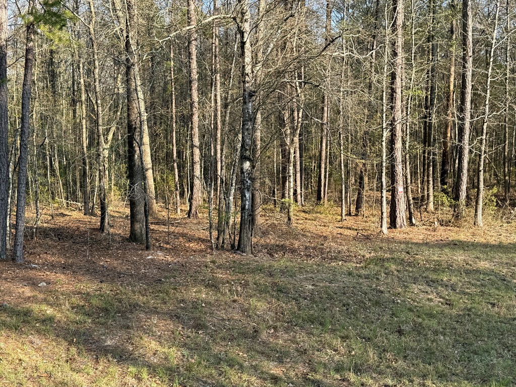 0 Oak Mountain Road Waverly Hall, GA 31831 - Photo 8 of 50 a backyard of a house with lots of green space