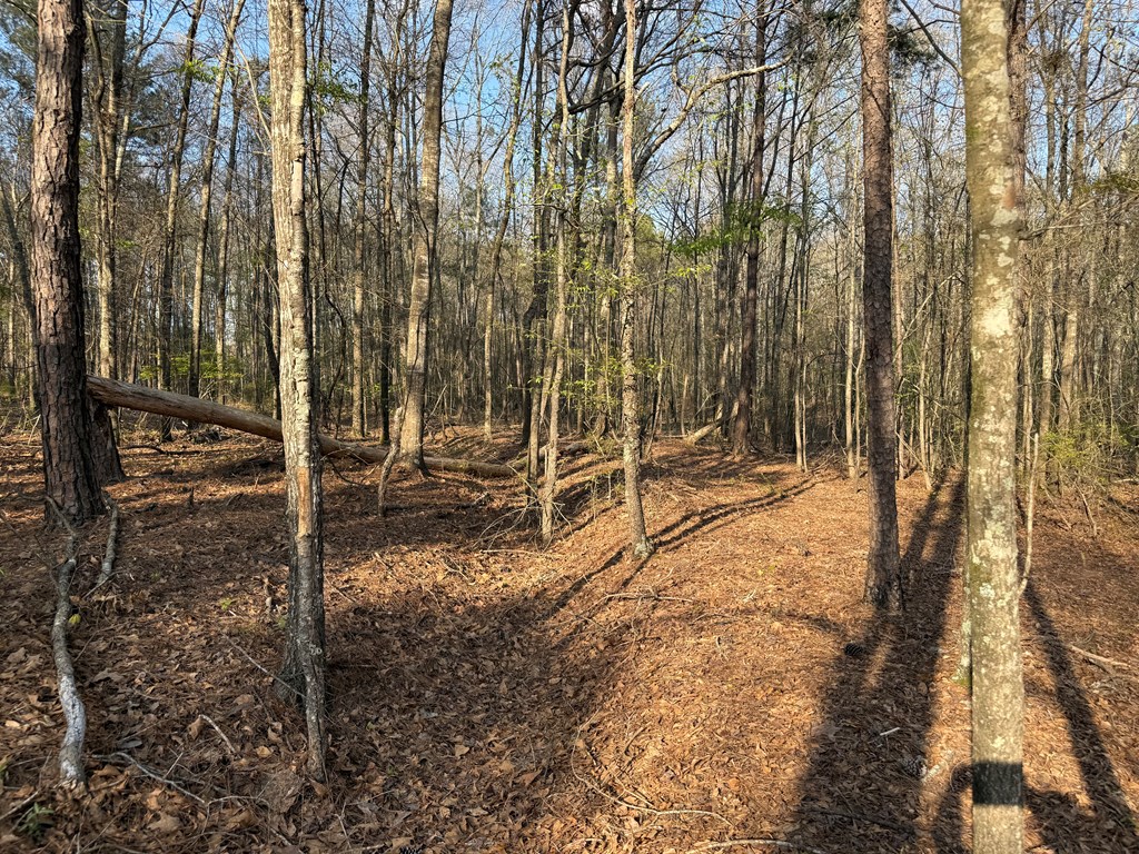 0 Oak Mountain Road Waverly Hall, GA 31831 - Photo 9 of 50 a view of under construction area