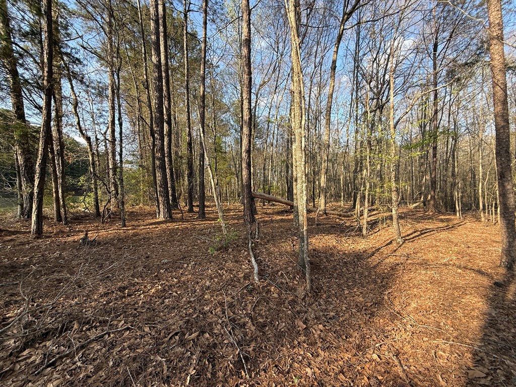 0 Oak Mountain Road Waverly Hall, GA 31831 - Photo 10 of 50 a view of outdoor space with trees