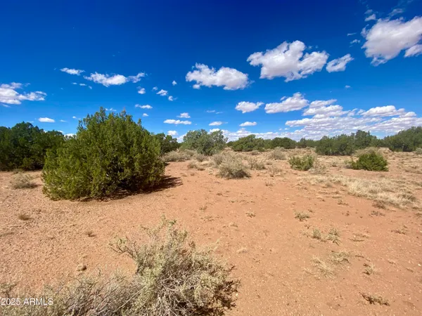 $8,200 | 4577 East Pinto Road, Unit 68, Snowflake, AZ 85937