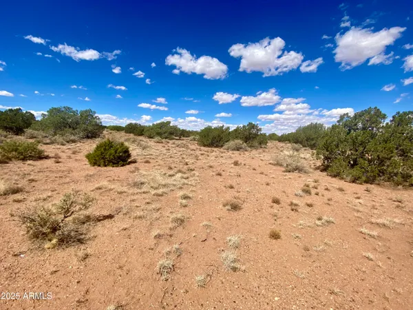 $8,200 | 4577 East Pinto Road, Unit 68, Snowflake, AZ 85937