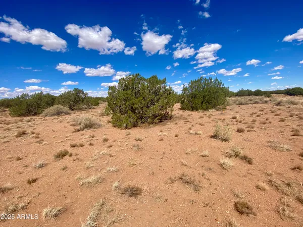 $8,200 | 4577 East Pinto Road, Unit 68, Snowflake, AZ 85937