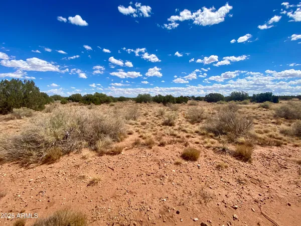 $8,200 | 4577 East Pinto Road, Unit 68, Snowflake, AZ 85937