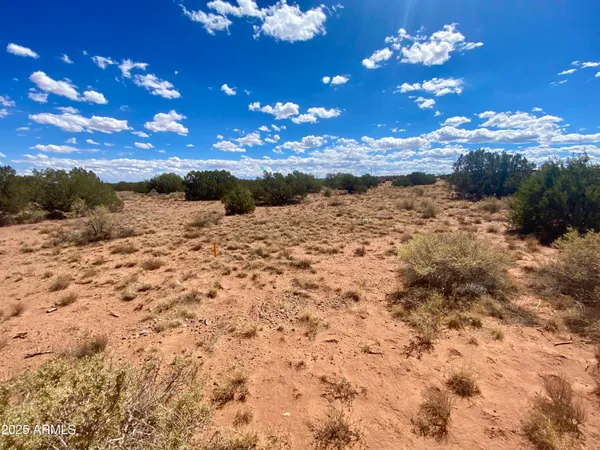 $8,200 | 4577 East Pinto Road, Unit 68, Snowflake, AZ 85937