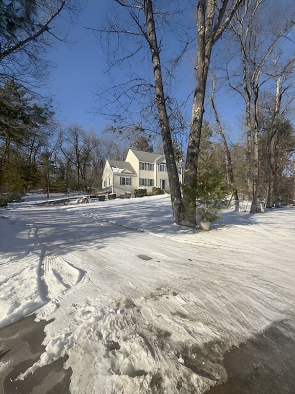 a view of a yard with a tree