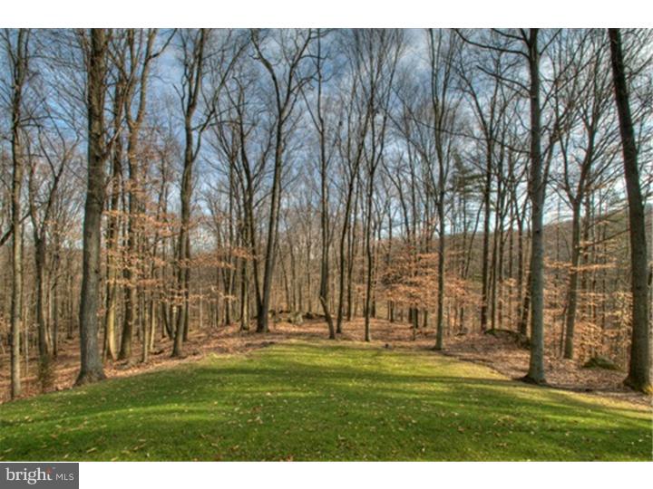 732 Maple Grove Road Mohnton, PA 19540 - Photo 22 of 22 Gallery Image 22