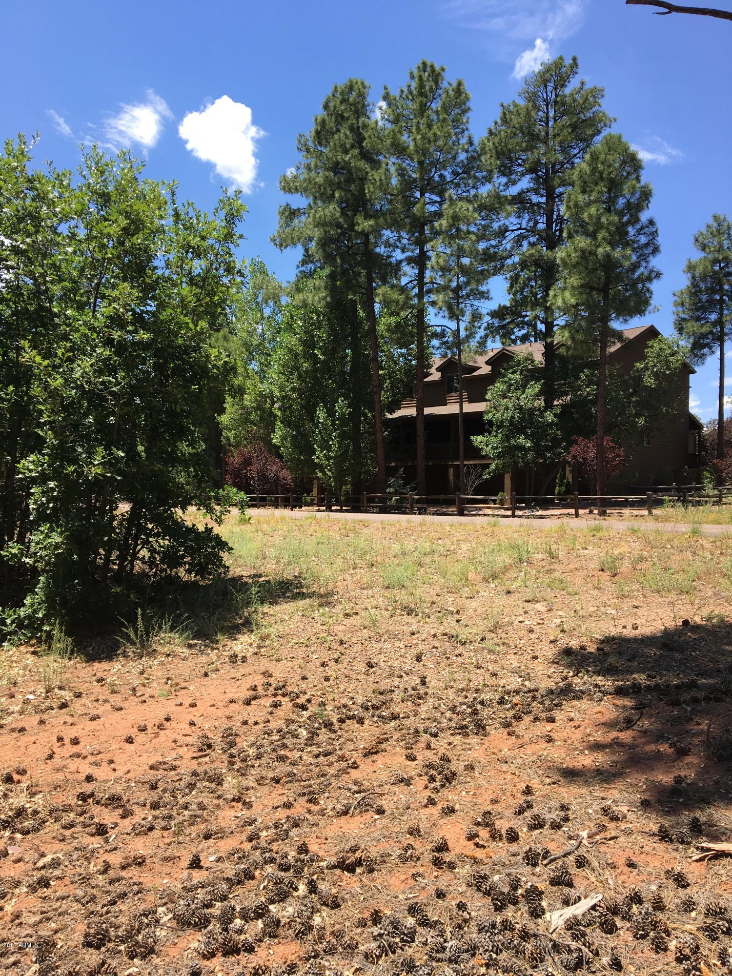 5885 Starlight Ridge Road, Unit 8 Lakeside, AZ 85929 - Photo 1 of 26 IMG_1167