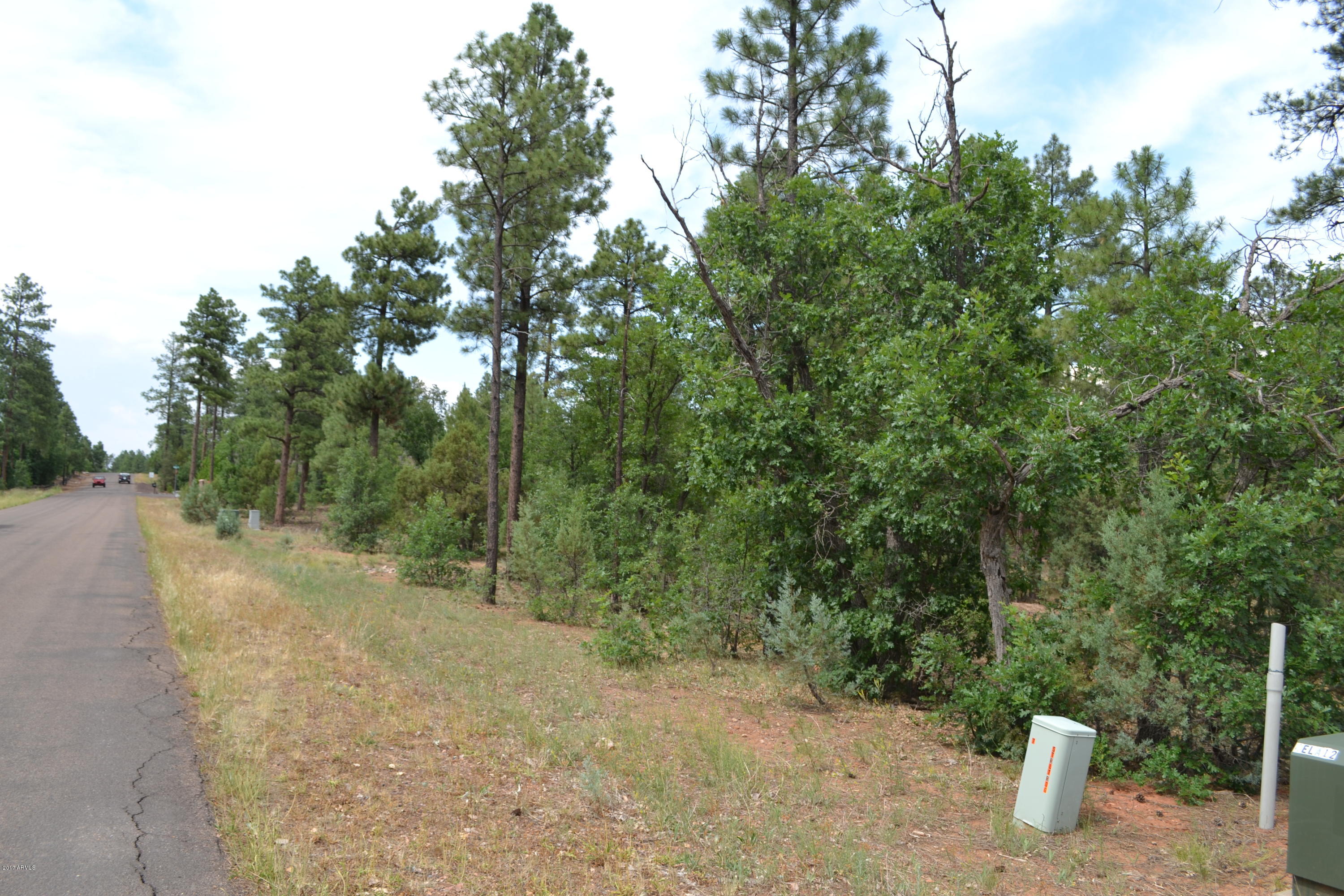 5885 Starlight Ridge Road, Unit 8 Lakeside, AZ 85929 - Photo 11 of 26 DSC_0869