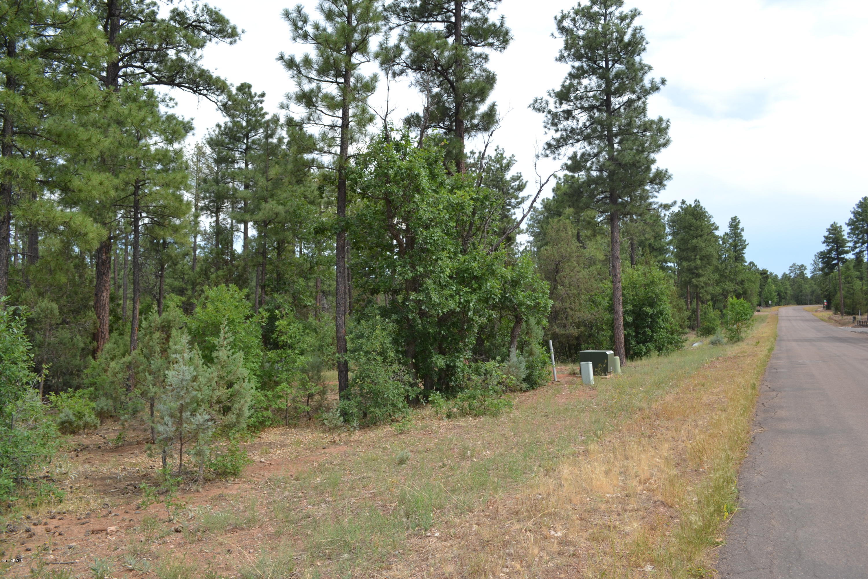 5885 Starlight Ridge Road, Unit 8 Lakeside, AZ 85929 - Photo 16 of 26 DSC_0874