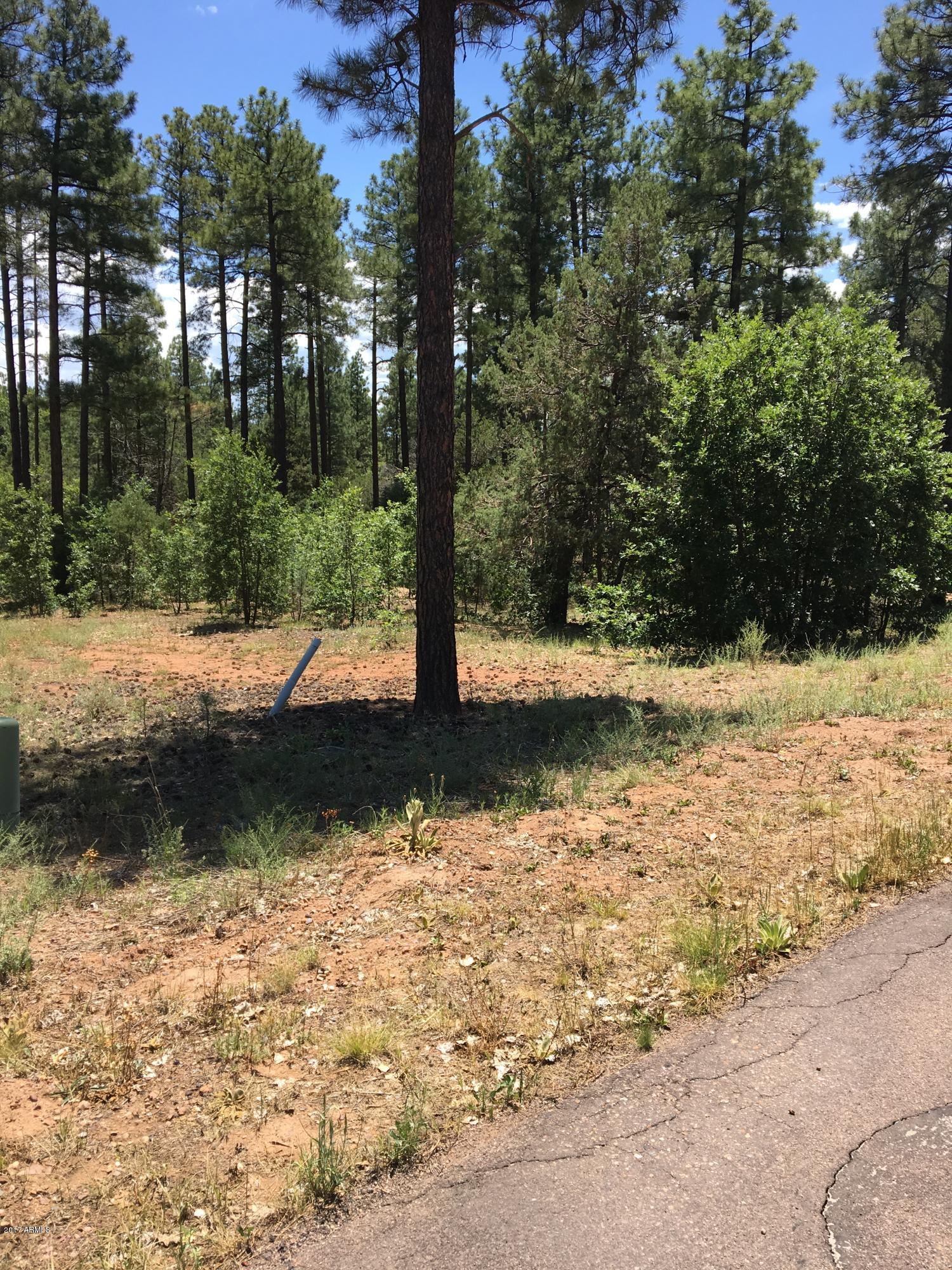 5885 Starlight Ridge Road, Unit 8 Lakeside, AZ 85929 - Photo 20 of 26 IMG_1159
