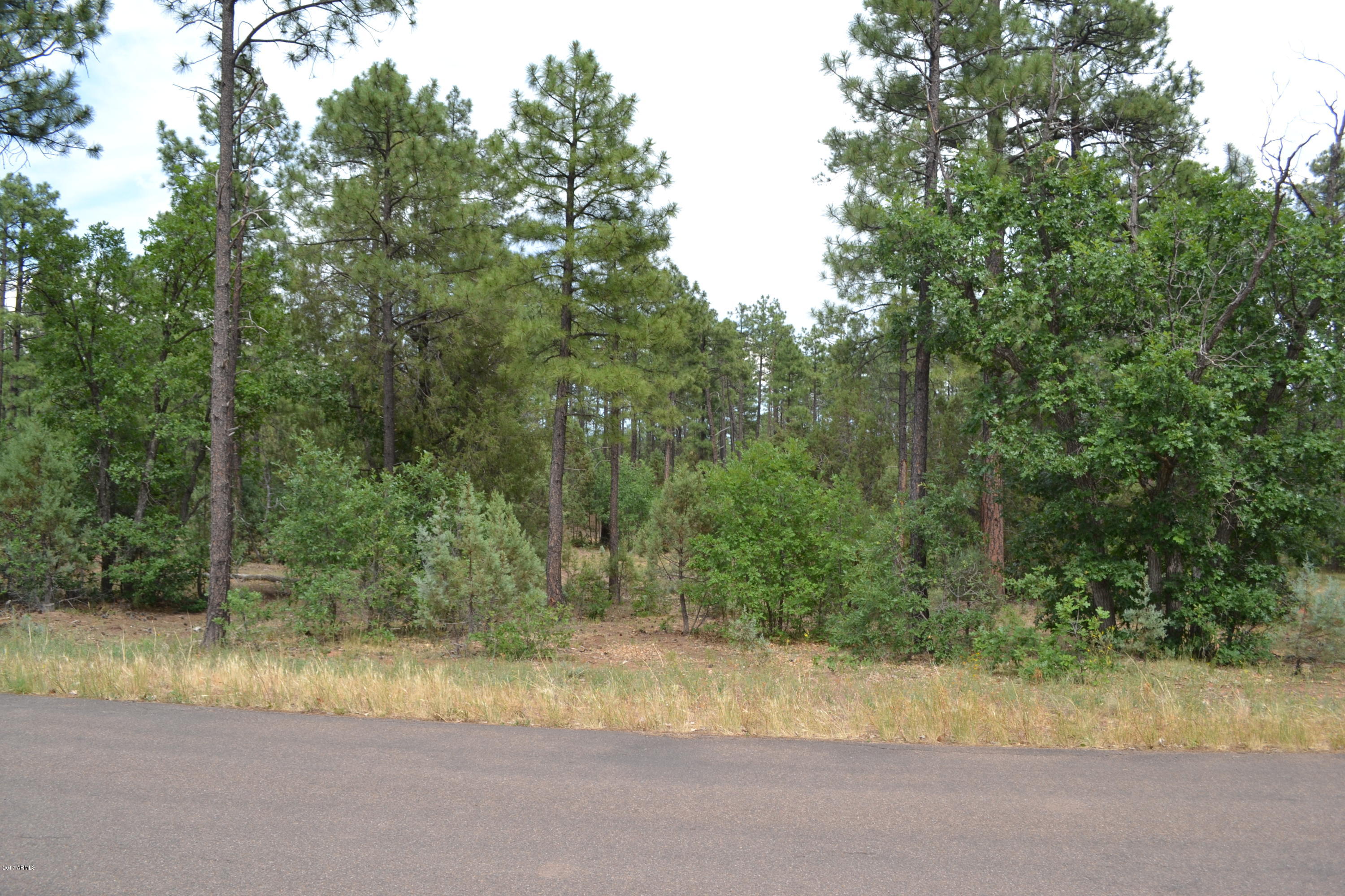 5885 Starlight Ridge Road, Unit 8 Lakeside, AZ 85929 - Photo 8 of 26 DSC_0866