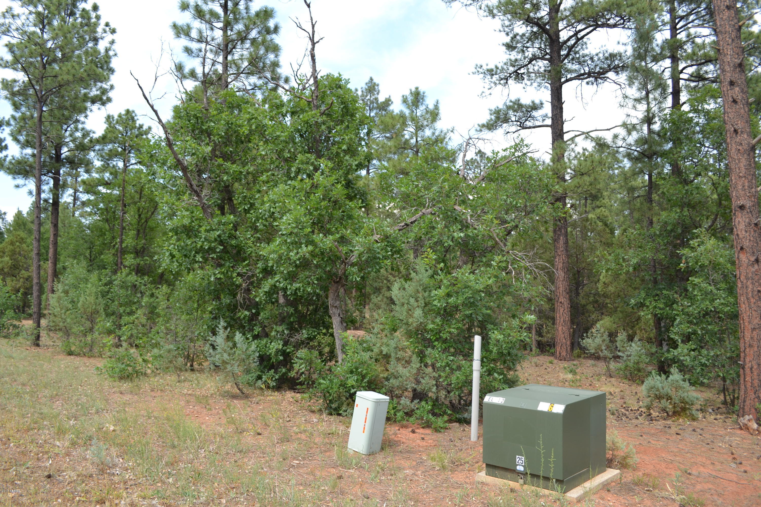 5885 Starlight Ridge Road, Unit 8 Lakeside, AZ 85929 - Photo 10 of 26 DSC_0868