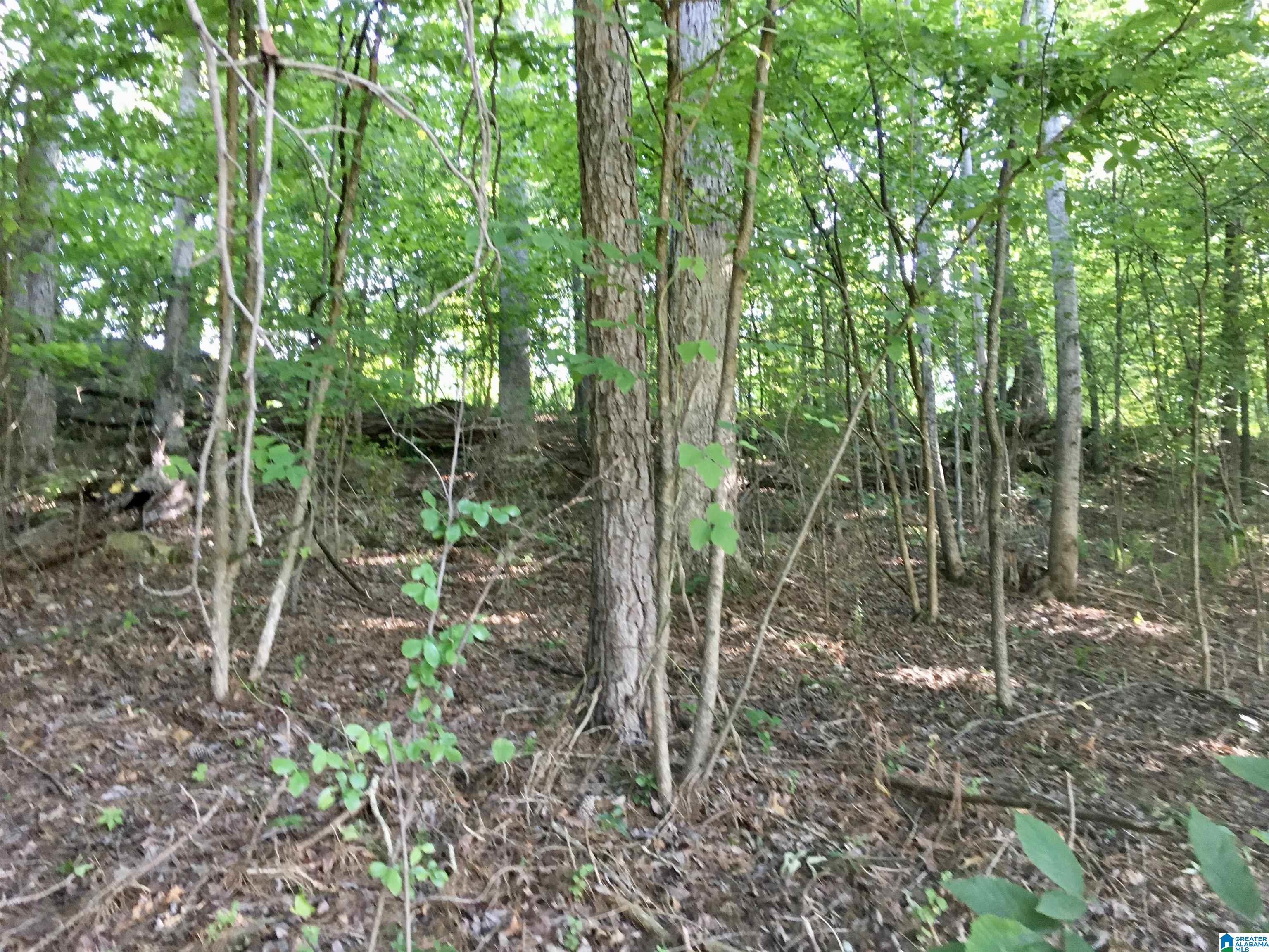 0 Quail Ridge Road, Unit 1 Oneonta, AL 35121 - Photo 27 of 29