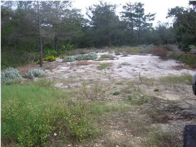 Lot 8 Baird Road Santa Rosa Beach, FL 32459 - Photo 3 of 4 a backyard of a house with lots of green space