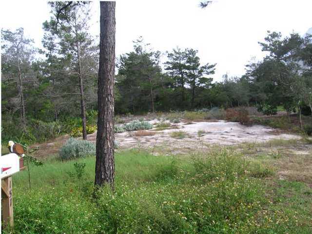 Lot 8 Baird Road Santa Rosa Beach, FL 32459 - Photo 4 of 4 a view of a lake with a tree