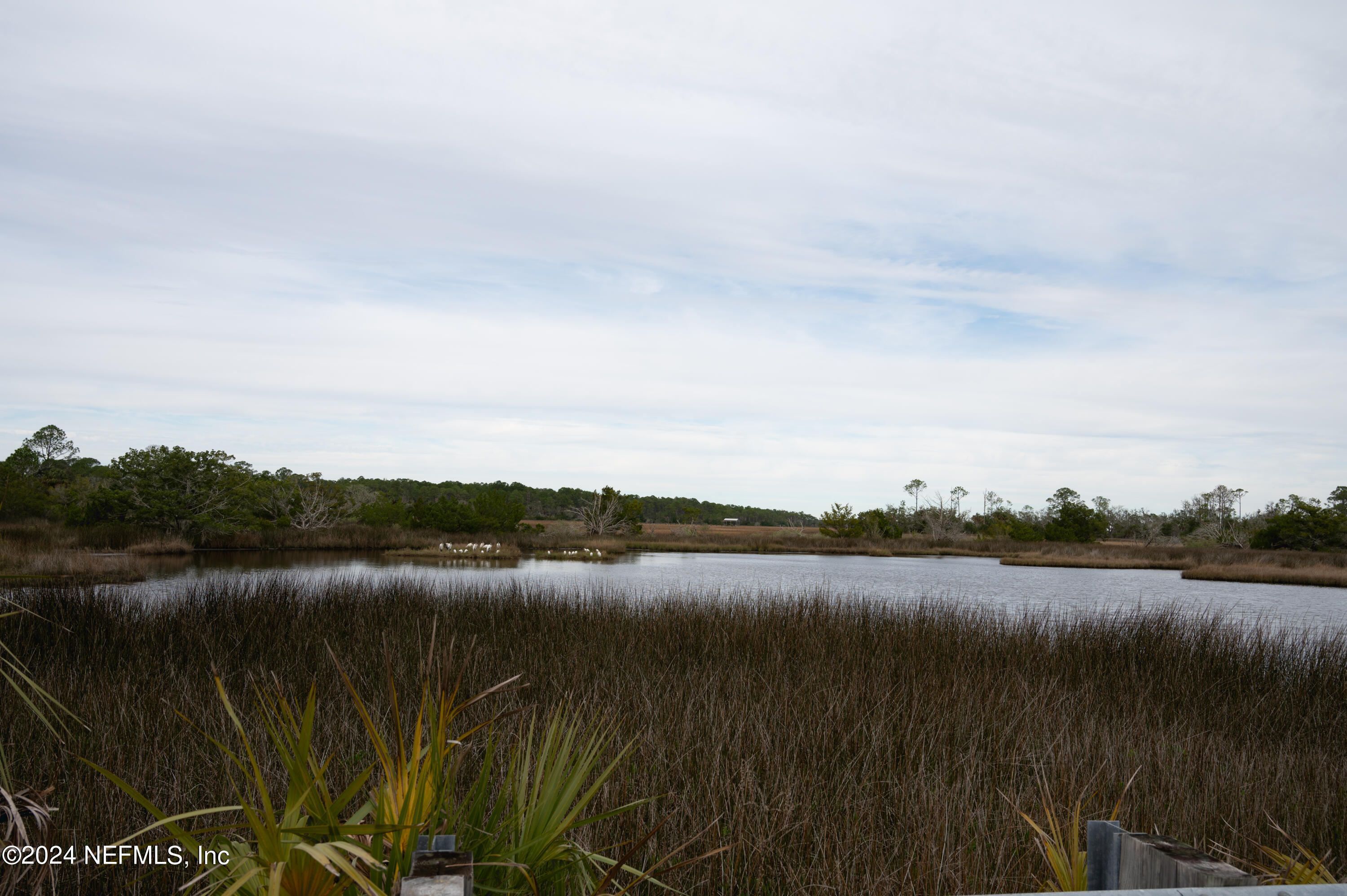 285 Dusty Road St. Augustine, FL 32095 - Photo 39 of 40 a view of lake with mountain in background