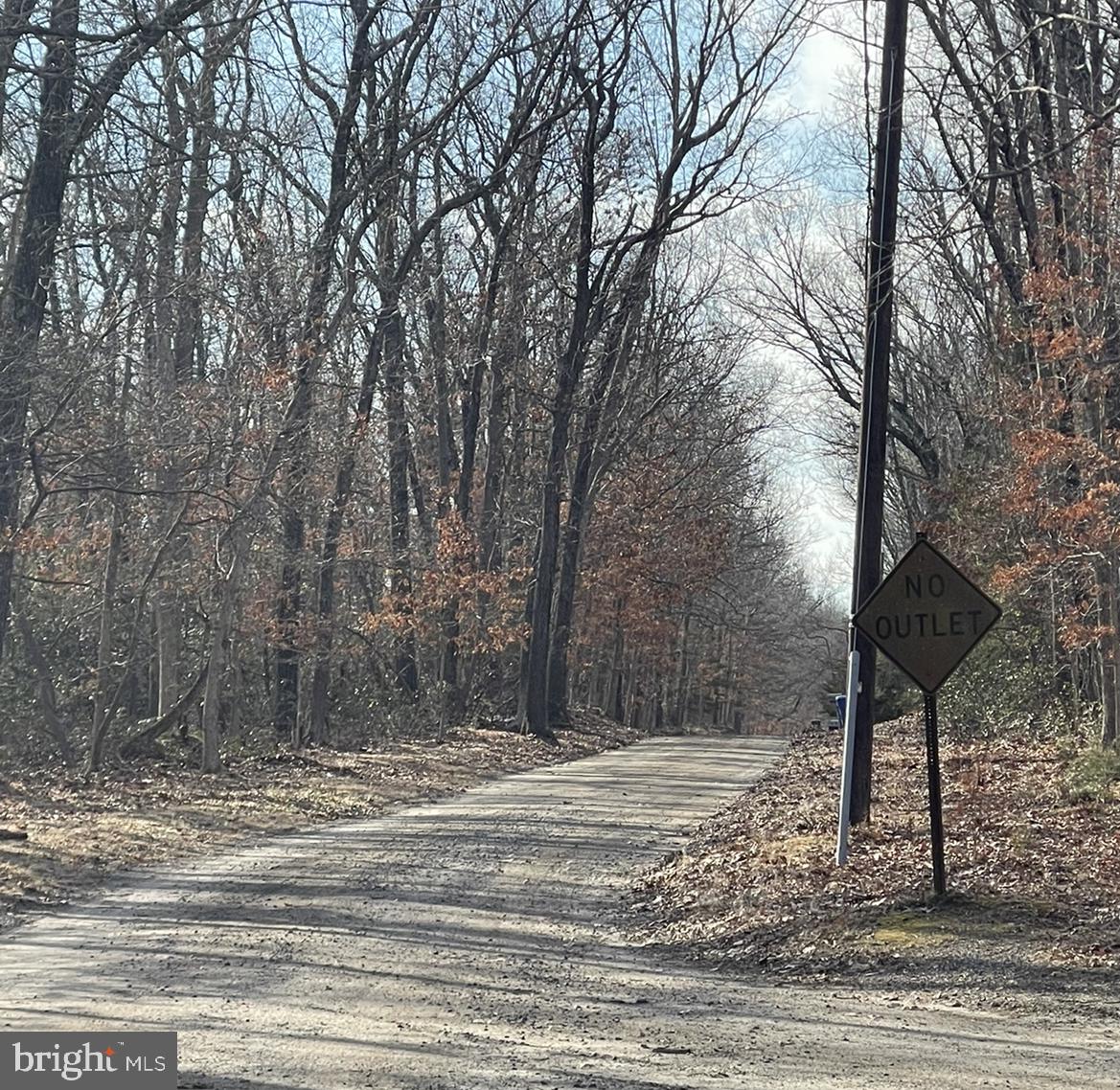31 Bards Bridge Road Shamong, NJ 08088 - Photo 5 of 6 a view of a backyard of a house