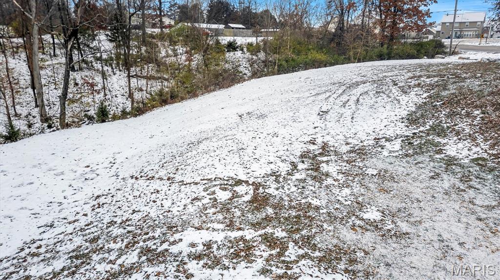 2060 Hillsboro Valley Park Road High Ridge, MO 63049 - Photo 2 of 12