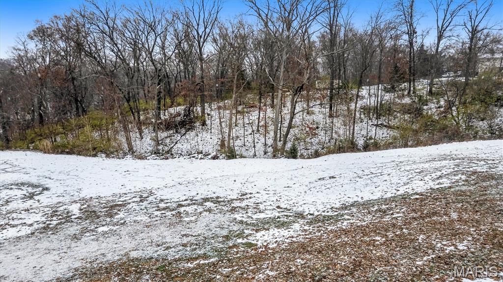 2060 Hillsboro Valley Park Road High Ridge, MO 63049 - Photo 10 of 12