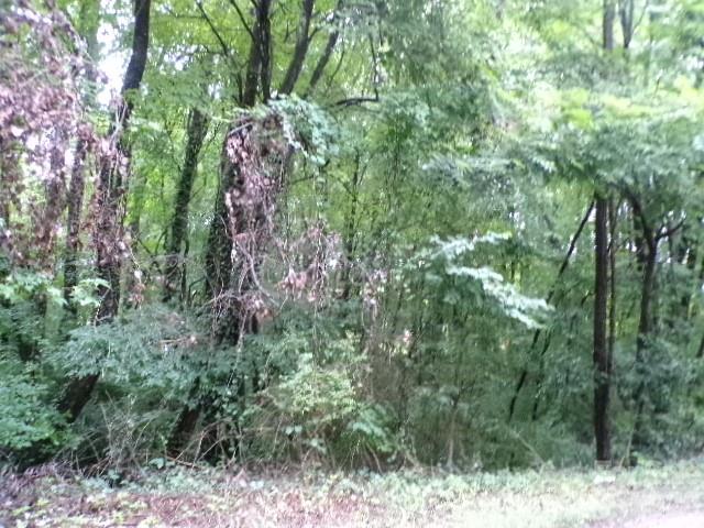 0 Larch Road, Unit 28 Salisbury, NC 28147 - Photo 12 of 17 Gallery Image 12