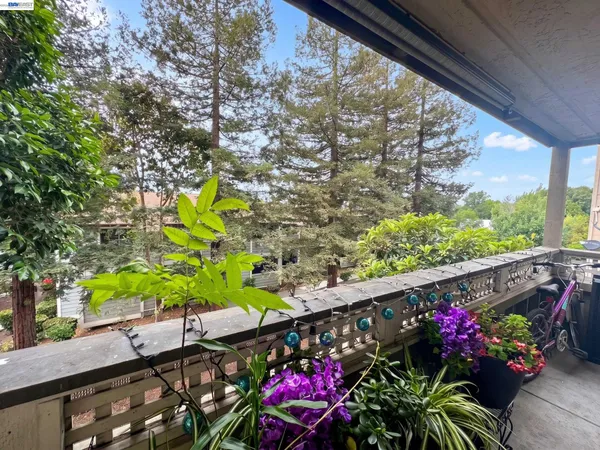 $469,000 | 29599 Vanderbilt Street, Unit 204, Hayward, CA 94544