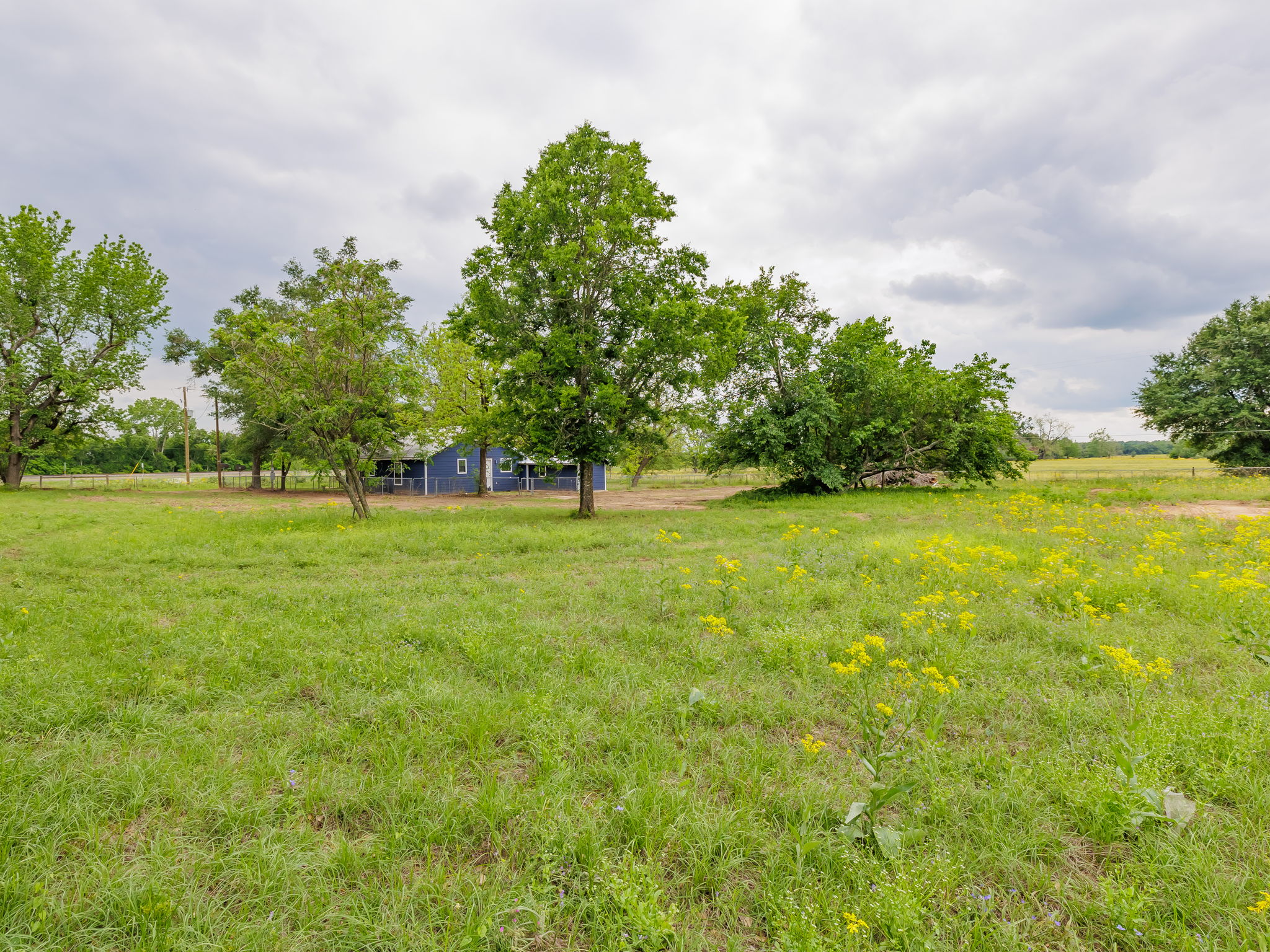202 North Arendell Gause, TX 77857 - Photo 25 of 30 a view of a green field with trees in the background