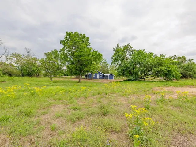 a view of a green field with trees in the background