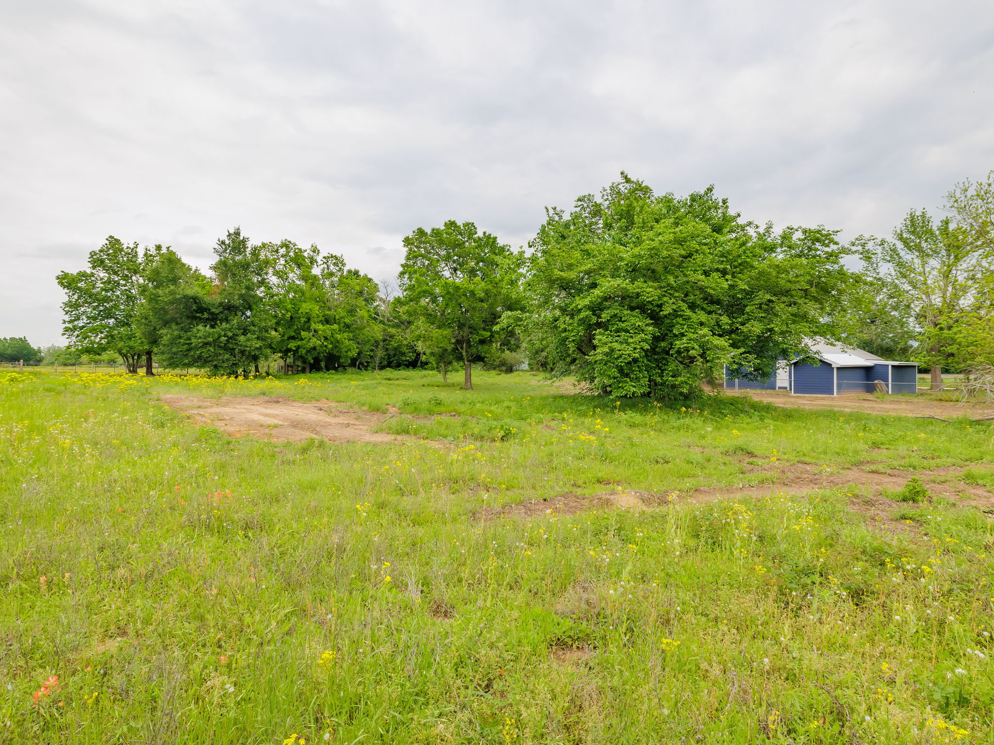 202 North Arendell Gause, TX 77857 - Photo 28 of 30 a view of a garden with a building in the background