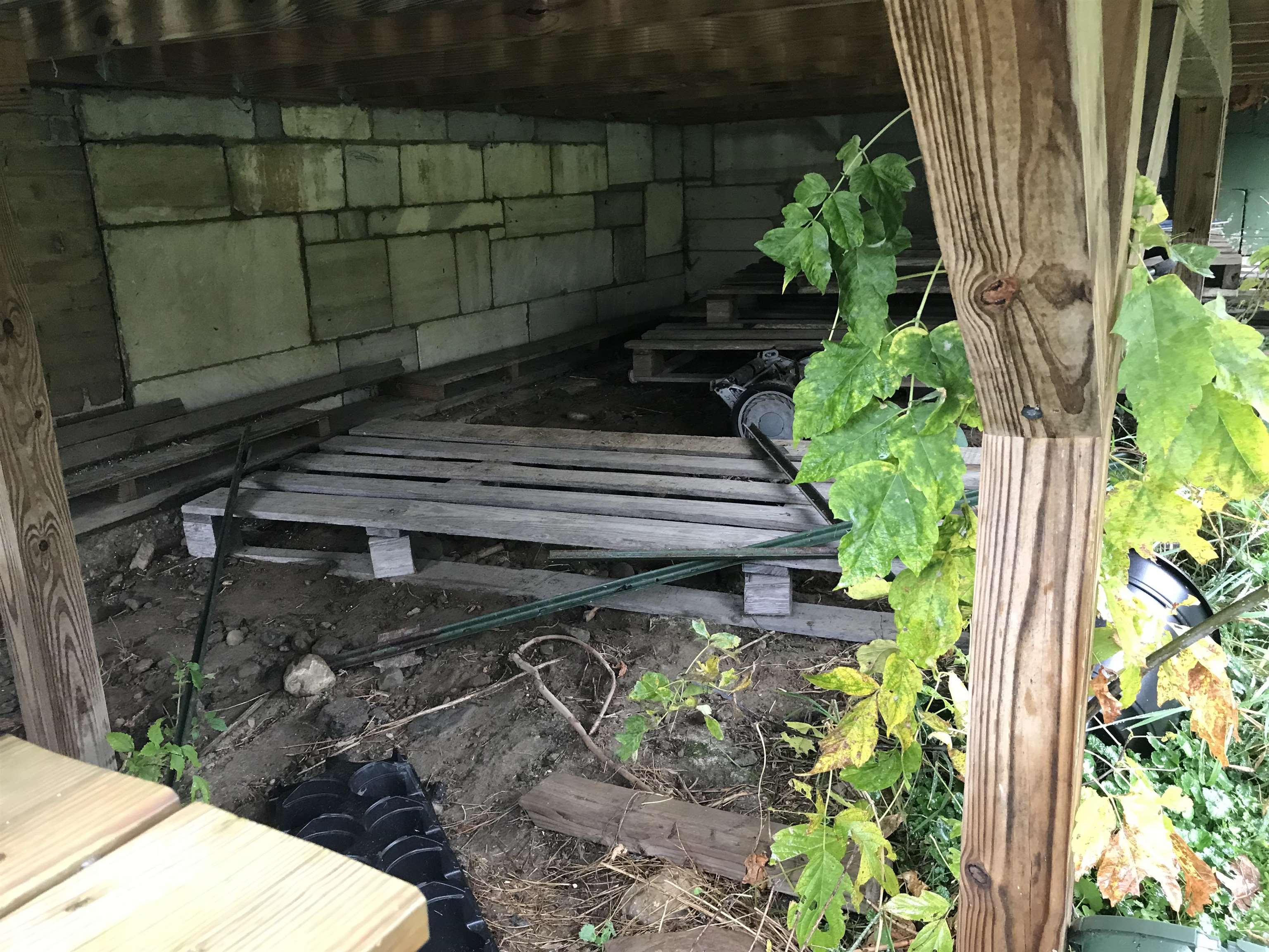 39 Pine Street Rutland, VT 05701 - Photo 31 of 39