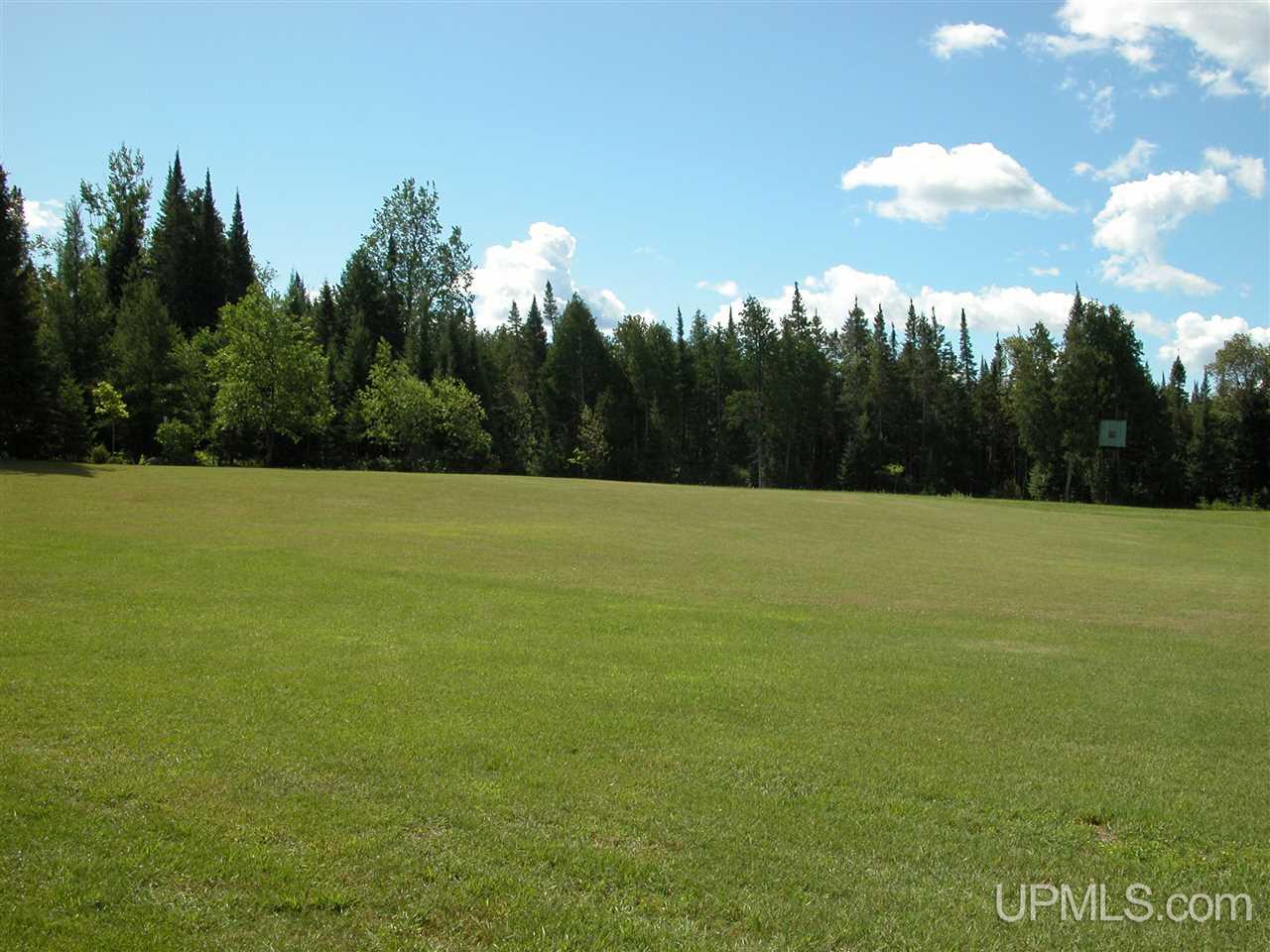 3701 Co Road Cornell, MI 49818 - Photo 25 of 28