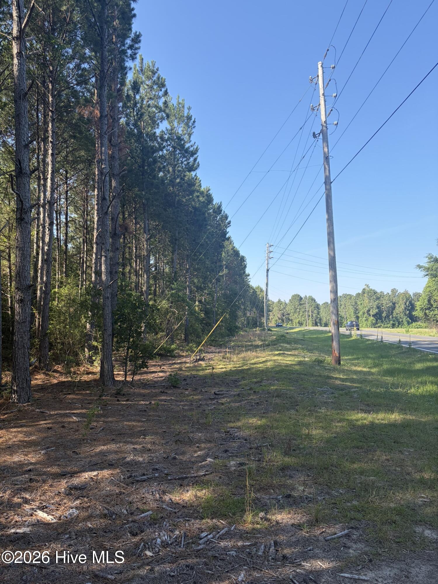 Tbd Jones Spring Church Road Ellerbe, NC 28338 - Photo 4 of 29