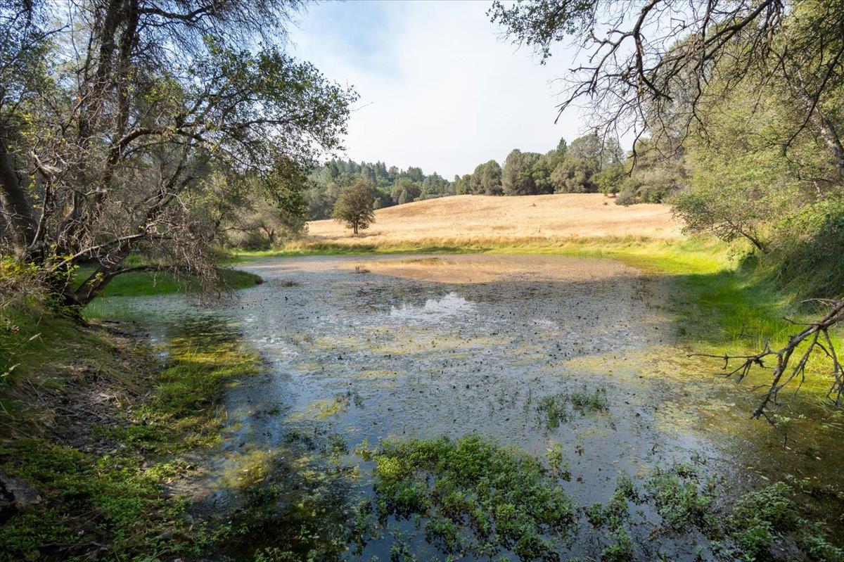 8260 Fairplay Road Somerset, CA 95684 - Photo 5 of 27 year round pond