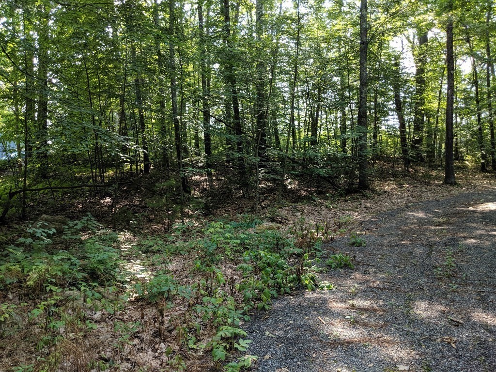 35 Northside Road Charlton, MA 01507 - Photo 28 of 30 Gallery Image 28