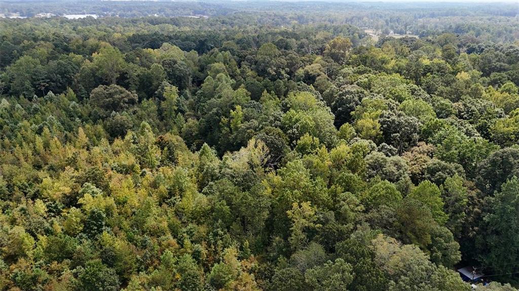 0 Bar J Road Temple, GA 30179 - Photo 11 of 22