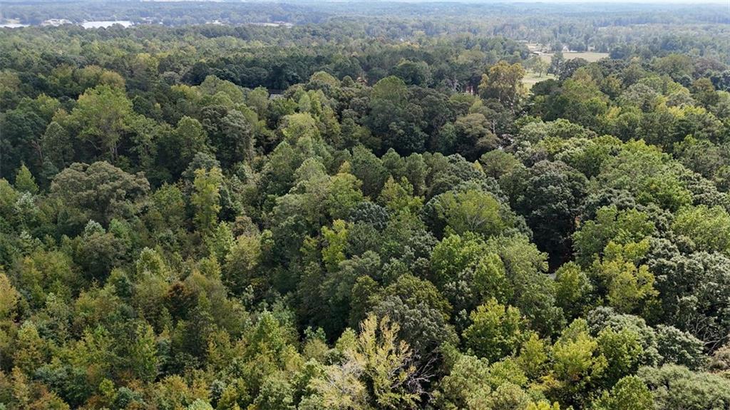 0 Bar J Road Temple, GA 30179 - Photo 12 of 22