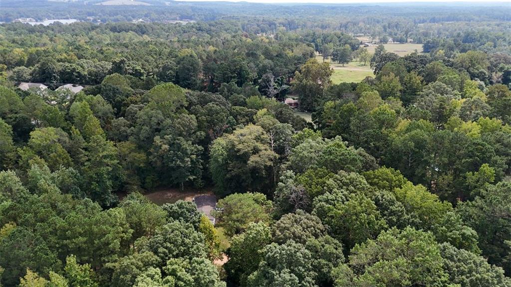 0 Bar J Road Temple, GA 30179 - Photo 13 of 22