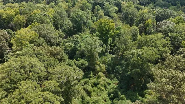 $325,000 | 0 Bar J Road, Temple, GA 30179