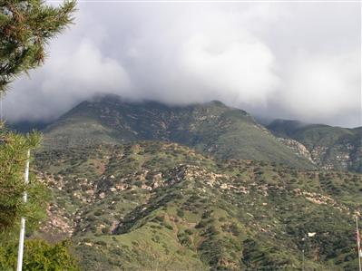 919 Park Road Ojai, CA 93023 - Photo 8 of 8 backyard veiw