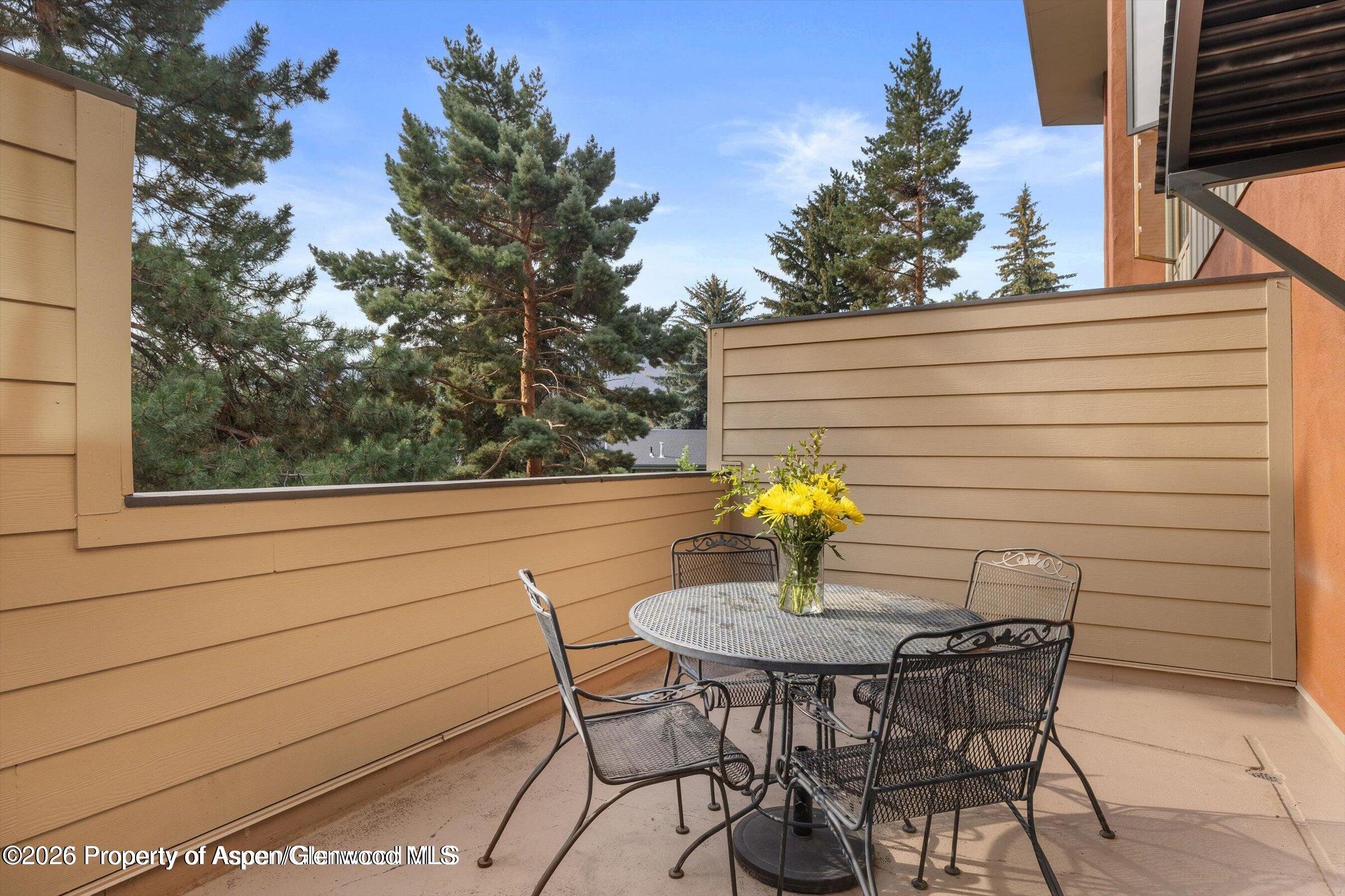100 Midland Avenue, Unit 106 Basalt, CO 81621 - Photo 6 of 12 Outdoor Patio