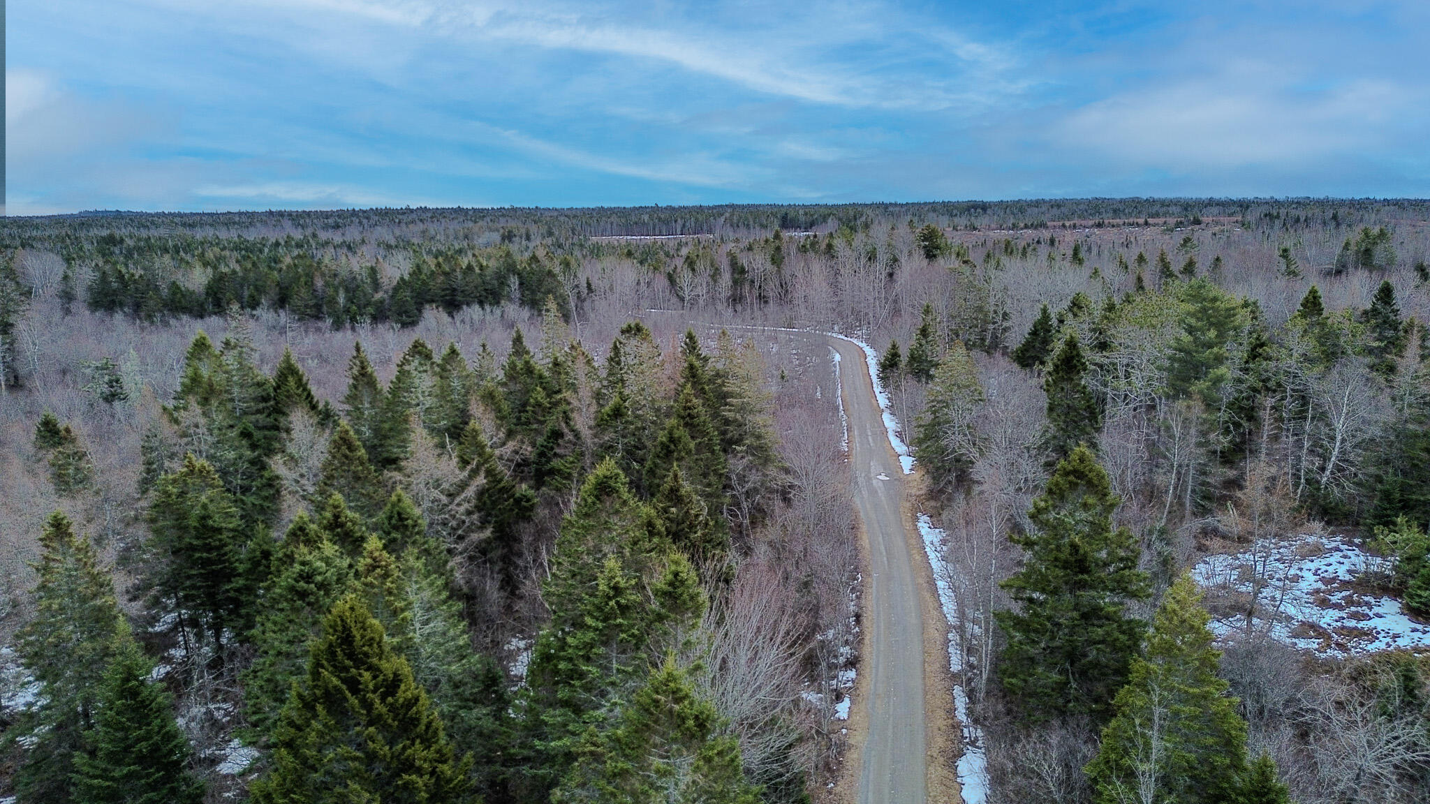 0 Lively Brook Road Whiting, ME 04691 - Photo 16 of 50