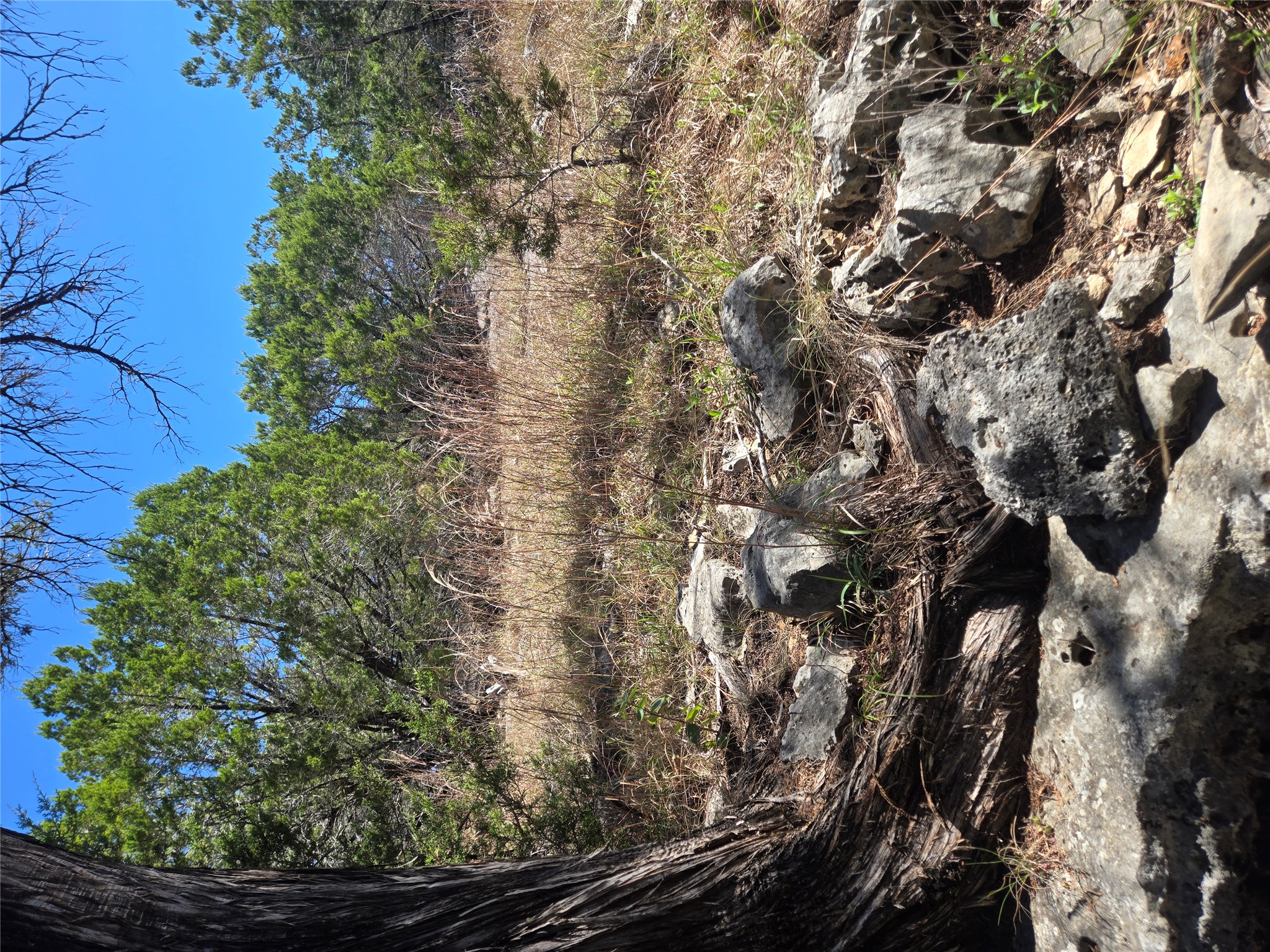 358 Balcones Ridgeway Way Bertram, TX 78605 - Photo 12 of 24 a view of a lot of trees and bushes