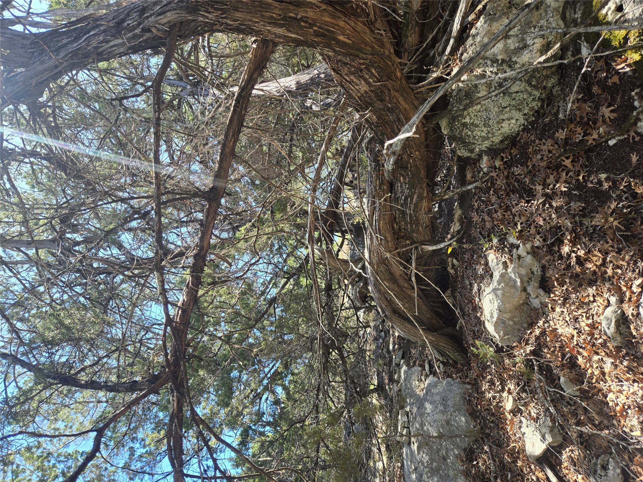 358 Balcones Ridgeway Way Bertram, TX 78605 - Photo 13 of 24 Lot Interior View