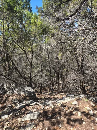 $195,000 | 358 Balcones Ridgeway Way, Bertram, TX 78605