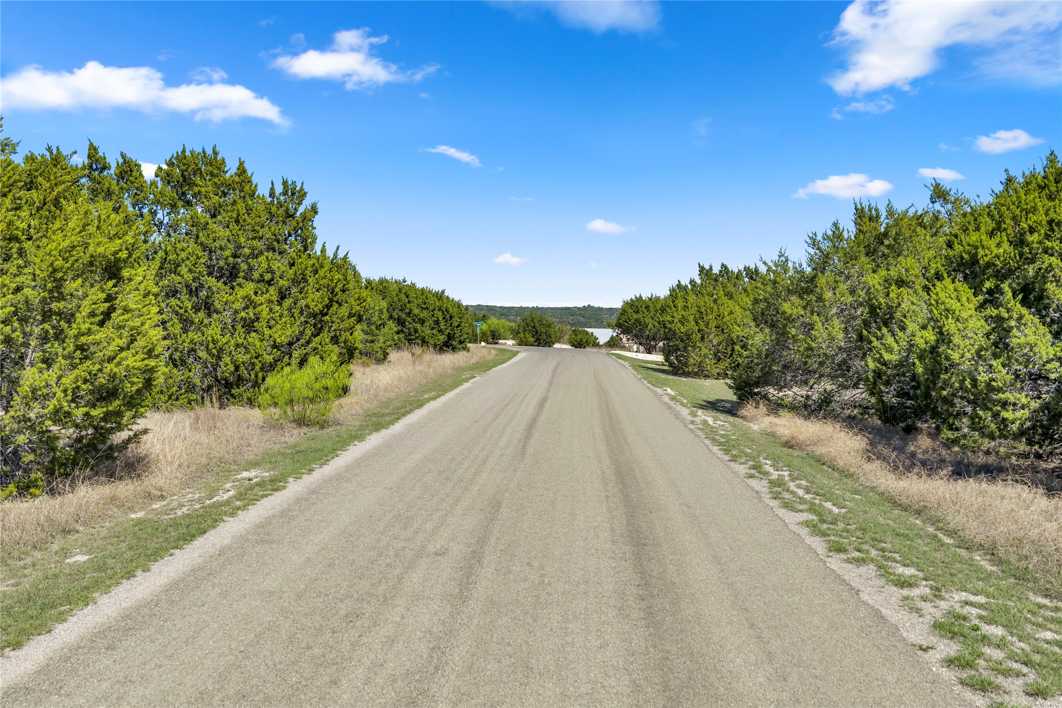 358 Balcones Ridgeway Way Bertram, TX 78605 - Photo 6 of 24 a view of a lake