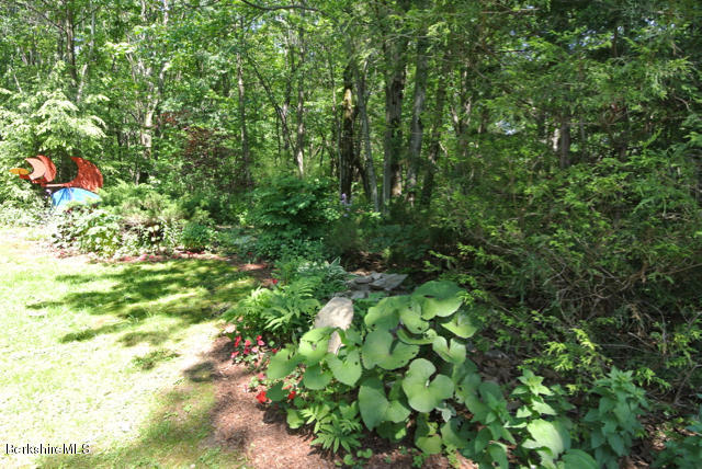 161 Reservoir Road Richmond, MA 01254 - Photo 34 of 35 DSC_5600
