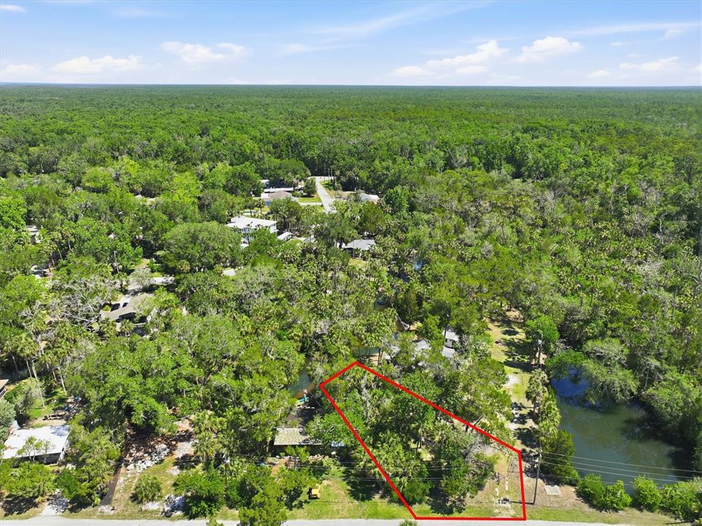 6240 Colony Circle Weeki Wachee, FL 34607 - Photo 7 of 15 an aerial view of residential houses with outdoor space and trees
